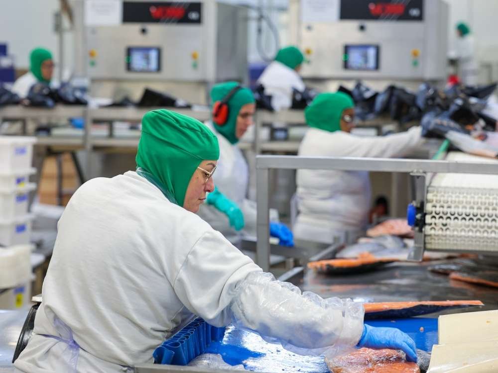 Crescimento industrial em Santa Catarina