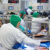 Crescimento industrial em Santa Catarina