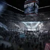 mma1.jpg